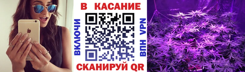 ГАШ Старый Оскол