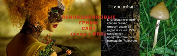 стафф Алексеевка