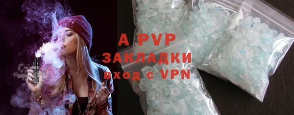 стаф Алексин