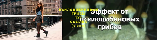 стаф Алексин