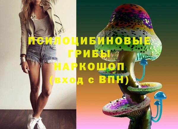 спайс Алзамай